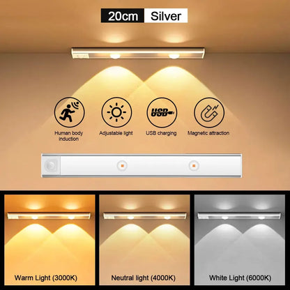 LED Motion Sensor Light